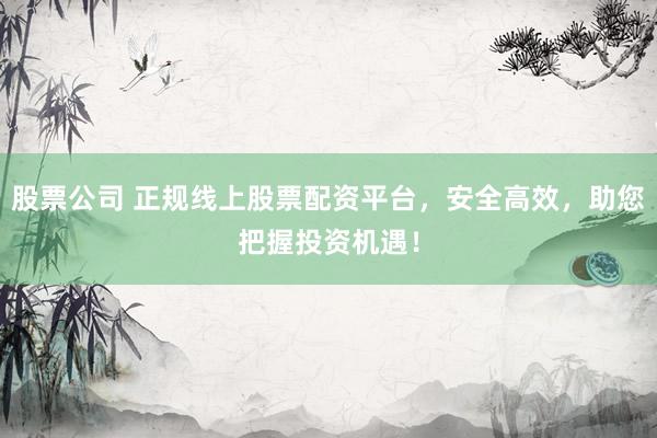 股票公司 正规线上股票配资平台，安全高效，助您把握投资机遇！