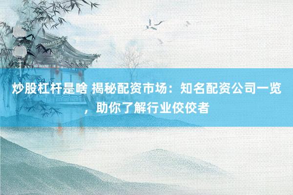 炒股杠杆是啥 揭秘配资市场：知名配资公司一览，助你了解行业佼佼者