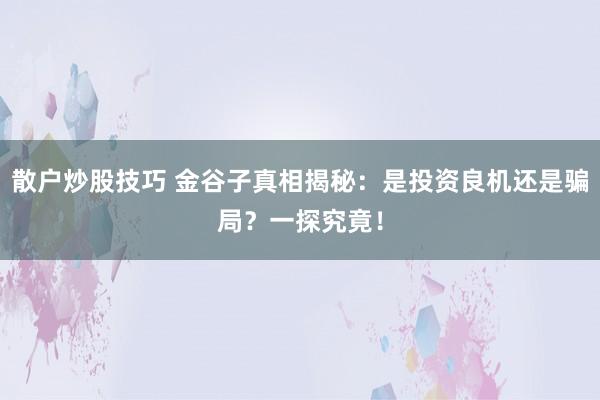 散户炒股技巧 金谷子真相揭秘：是投资良机还是骗局？一探究竟！