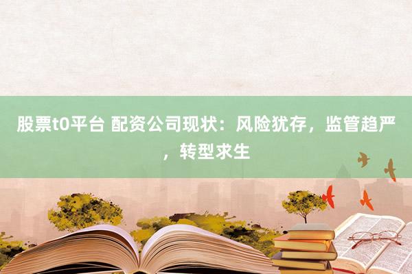 股票t0平台 配资公司现状：风险犹存，监管趋严，转型求生
