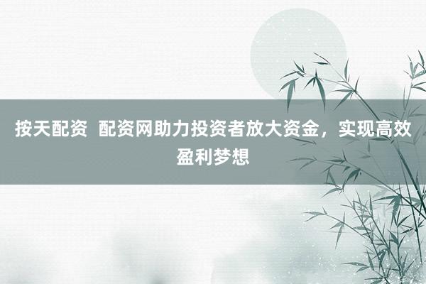 按天配资  配资网助力投资者放大资金，实现高效盈利梦想