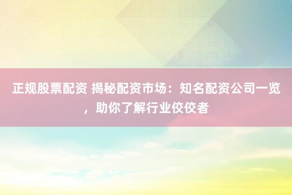 正规股票配资 揭秘配资市场：知名配资公司一览，助你了解行业佼佼者