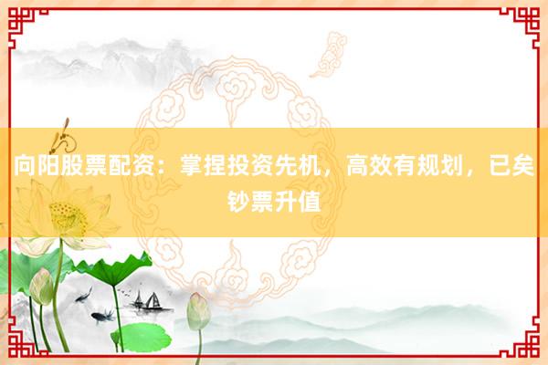 向阳股票配资：掌捏投资先机，高效有规划，已矣钞票升值