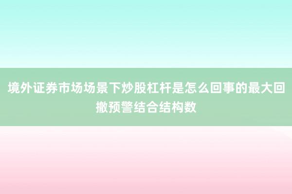 境外证券市场场景下炒股杠杆是怎么回事的最大回撤预警结合结构数
