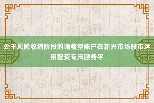 处于风险收缩阶段的调整型账户在新兴市场股市运用配资专属服务平