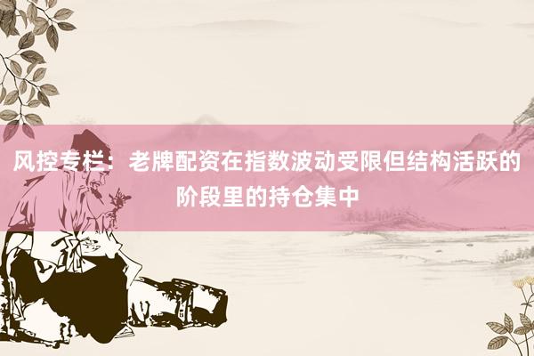 风控专栏：老牌配资在指数波动受限但结构活跃的阶段里的持仓集中