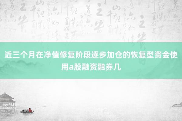 近三个月在净值修复阶段逐步加仓的恢复型资金使用a股融资融券几